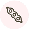 Soy