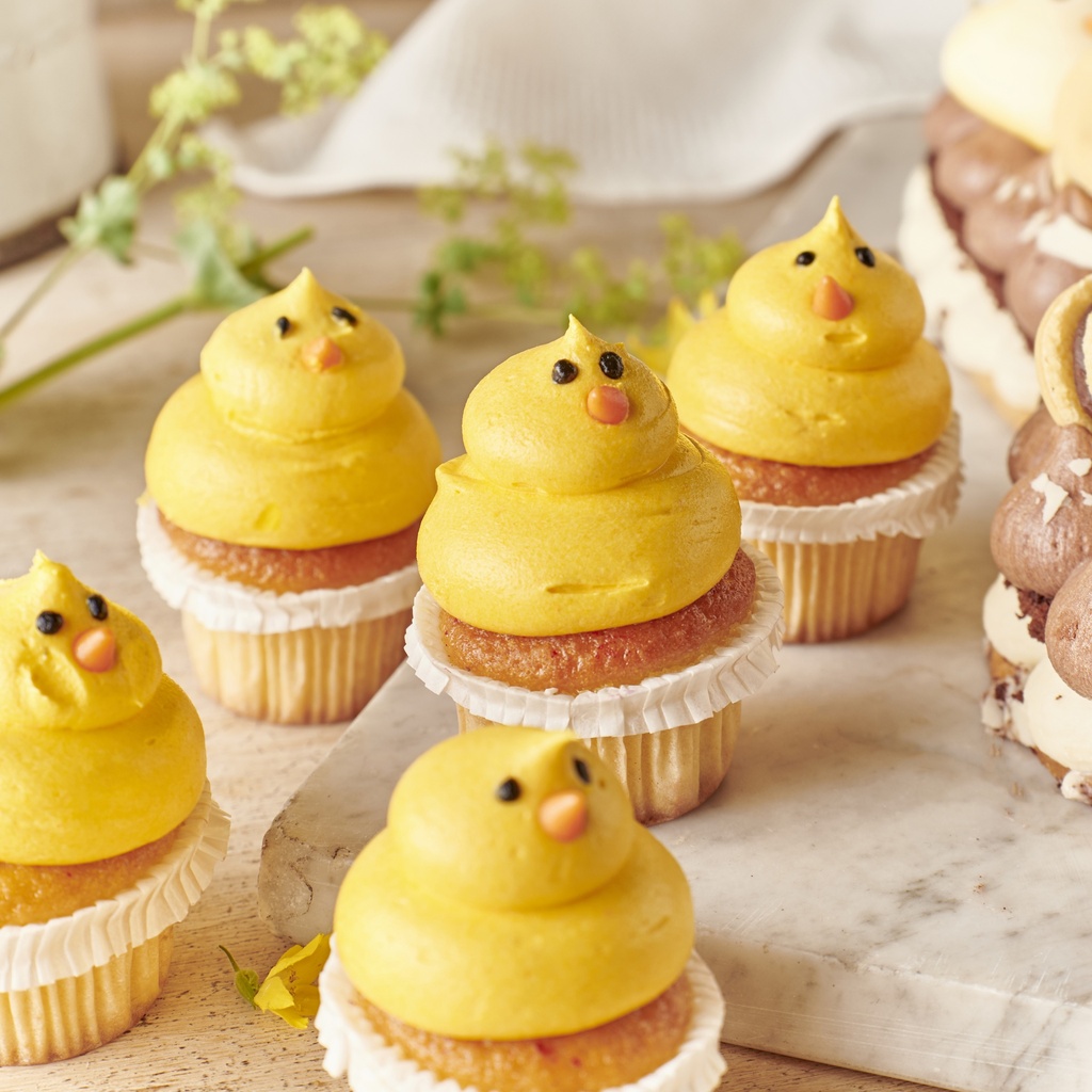 Easter Chick cupcake 